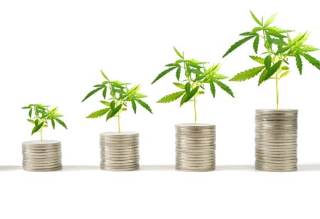 Challenges In The Field Of Cannabis Distribution Logistics