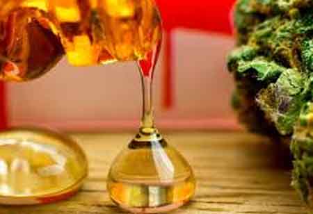 Innovative Techniques Transforming Cannabis Extraction Practices