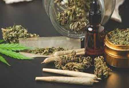 The Rise of the Global Legal Cannabis Market